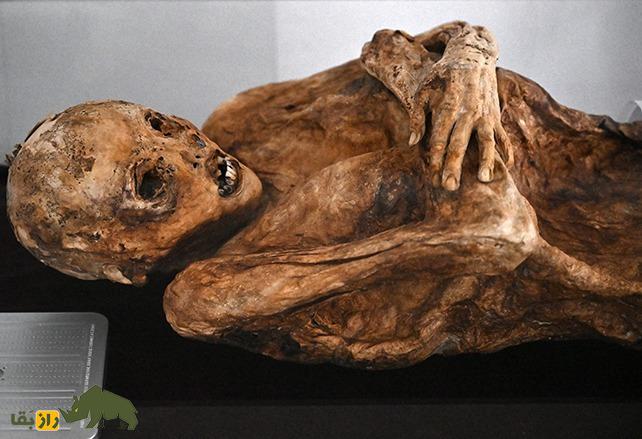 (تصاویر) عجیب و باورنکردنی؛ اجساد در این شهر خود به خود مومیایی میشوند (تصاویر) عجیب و باورنکردنی؛ اجساد در این شهر خود به خود مومیایی میشوند