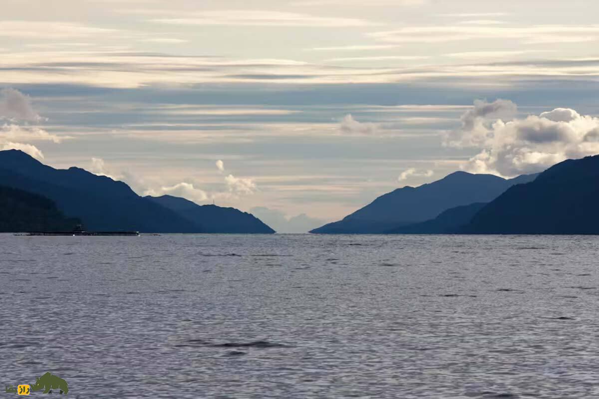 آیا هیولای دریاچه نس واقعی است؟ آیا هیولای دریاچه نس واقعی است؟