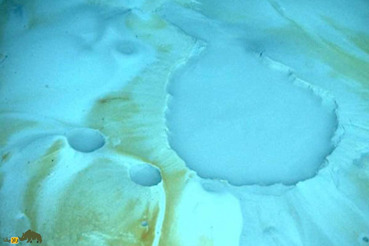 عجیبترین چیزهای جهان که باید حتما از وجودشان با خبر باشید! عجیبترین چیزهای جهان که باید حتما از وجودشان با خبر باشید!