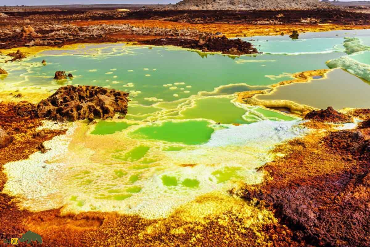 عجیبترین چیزهای جهان که باید حتما از وجودشان با خبر باشید! عجیبترین چیزهای جهان که باید حتما از وجودشان با خبر باشید!