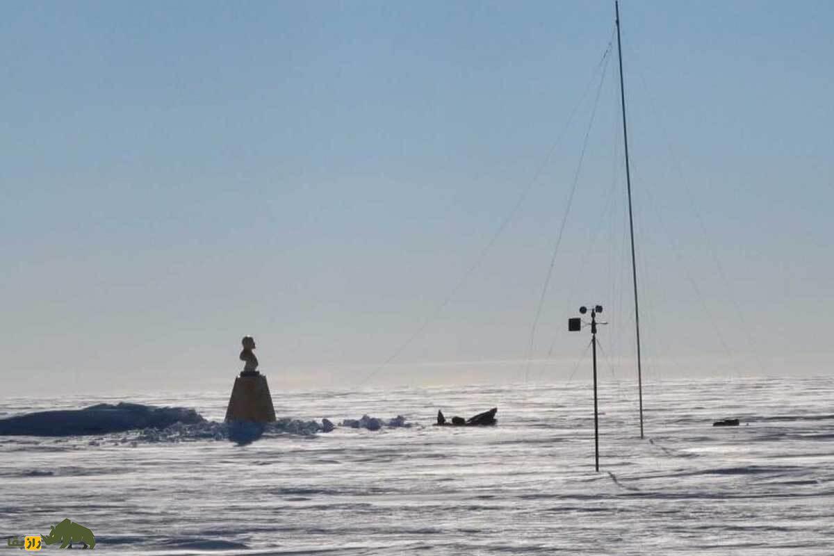 عجیبترین چیزهای جهان که باید حتما از وجودشان با خبر باشید! عجیبترین چیزهای جهان که باید حتما از وجودشان با خبر باشید!