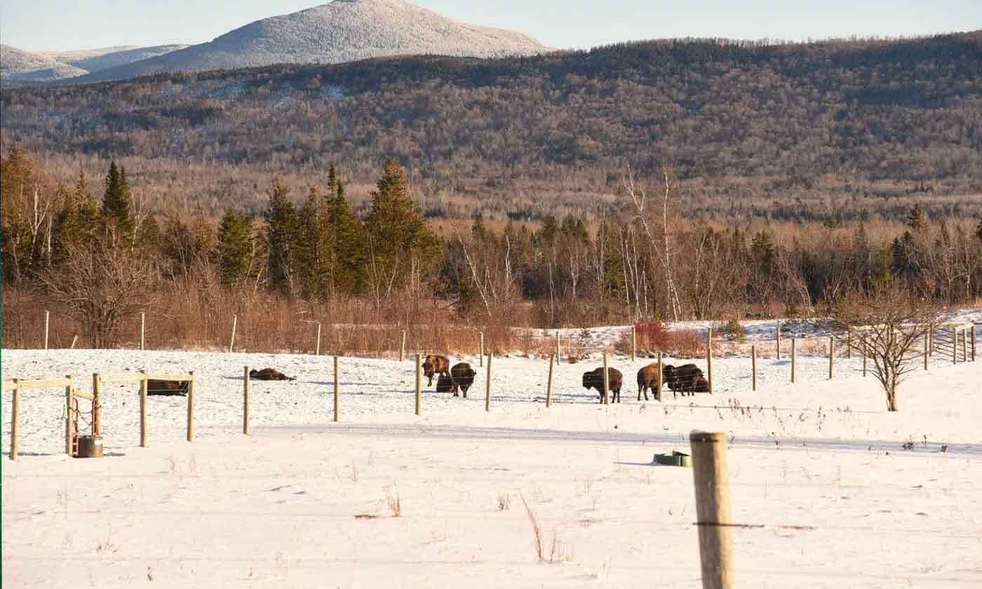 عجیب‌ترین مکان‌های دنیا | ۱۳ مکانی که از مثلث برمودا عجیب‌ترند!