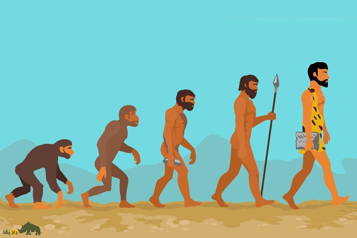 داستان ناتمام و مبهمِ تکامل چه زمانی شروع شد و چه زمانی پایان یافت؟