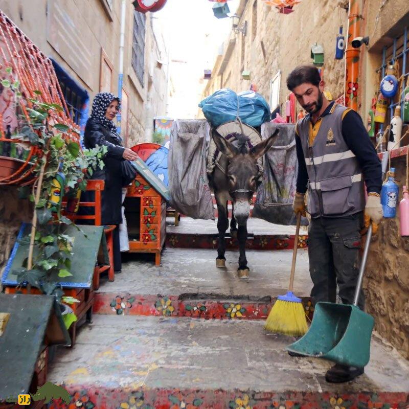 خرها چگونه مسیر تاریخ را تغییر دادند؟ خرها چگونه مسیر تاریخ را تغییر دادند؟