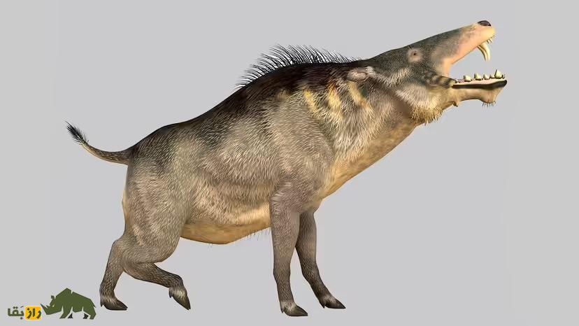 «خوک‌های جهنمیِ» ماقبل تاریخ؛ جانور قاتلی که یک شتر را درسته قورت می‌داد!