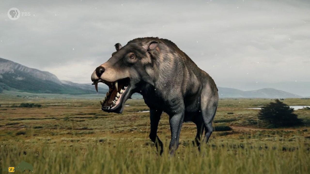 «خوک‌های جهنمی» ترسناک ماقبل تاریخ را بشناسید؛ حیوانی که ۴۳۰ کیلوگرم را به راحتی خم می‌کرد