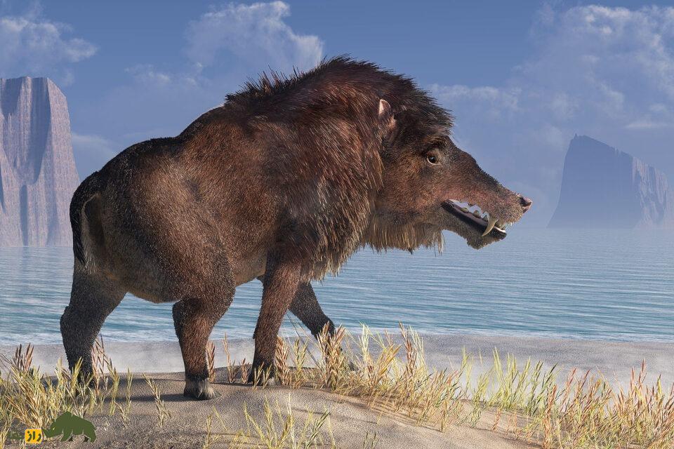 «خوک‌های جهنمی» ترسناک ماقبل تاریخ را بشناسید؛ حیوانی که ۴۳۰ کیلوگرم را به راحتی خم می‌کرد