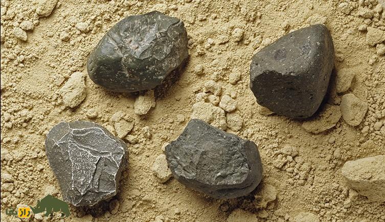 اولین ابزارهای سنگی را چه کسی ساخت و کجا زندگی میکرد؟ اولین ابزارهای سنگی را چه کسی ساخت و کجا زندگی میکرد؟