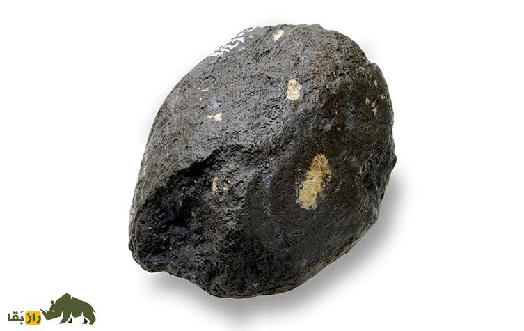 اولین ابزارهای سنگی را چه کسی ساخت و کجا زندگی میکرد؟ اولین ابزارهای سنگی را چه کسی ساخت و کجا زندگی میکرد؟