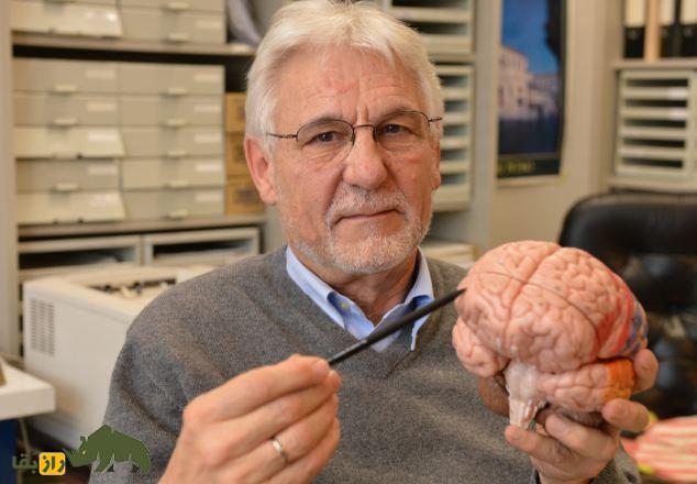 کشف یک راز عجیب در مغز دیکتاتورها و قاتلان؛ «لانه شیطان» چیست؟ انسان با یک مغز انسان در دست