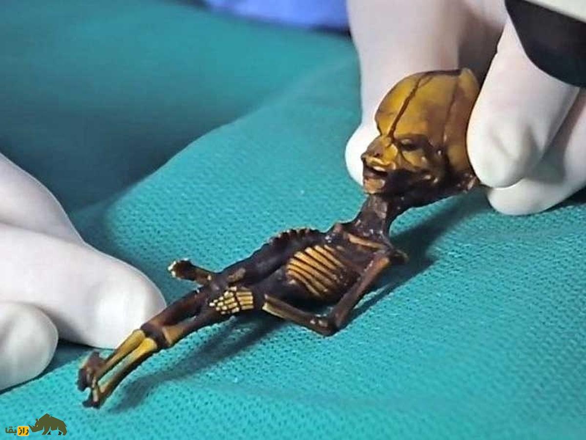 رازهای یک دختر ۱۵ سانتیمتری؛ اسکلتی که جهان را حیرتزده کرد! رازهای یک دختر ۱۵ سانتیمتری؛ اسکلتی که جهان را حیرتزده کرد!