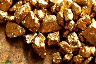 اگر این گنج پیدا شود همه مردم جهان تا زانو در طلا فرو می‌روند؛ ۹۹ درصد طلای زمین اینجاست!