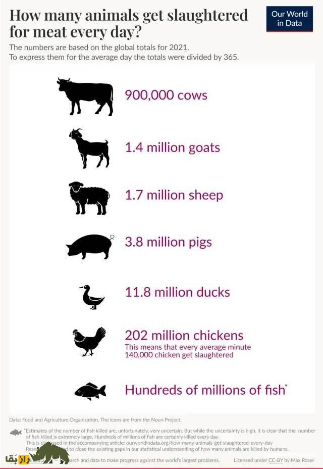 روزانه چند حیوان در جهان ذبح میشوند؟ برای ۳۶۰ میلیون تُن گوشت خوراکی! روزانه چند حیوان در جهان ذبح میشوند؟ برای ۳۶۰ میلیون تُن گوشت خوراکی!