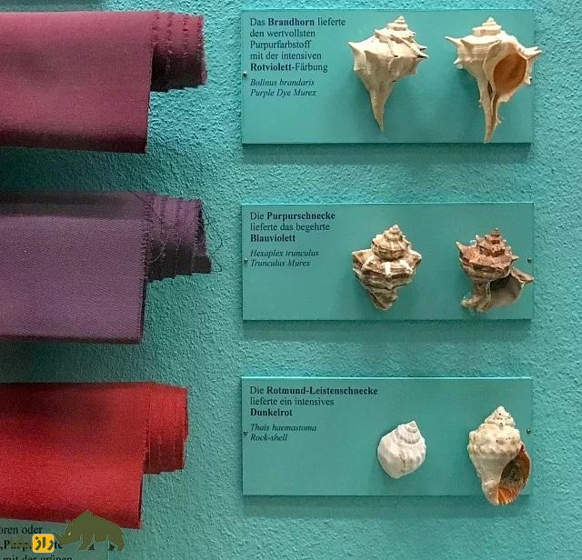 کشف یک «توده باستانی مرموز» و ارغوانی رنگ که بیشتر از طلا می‌ارزد!