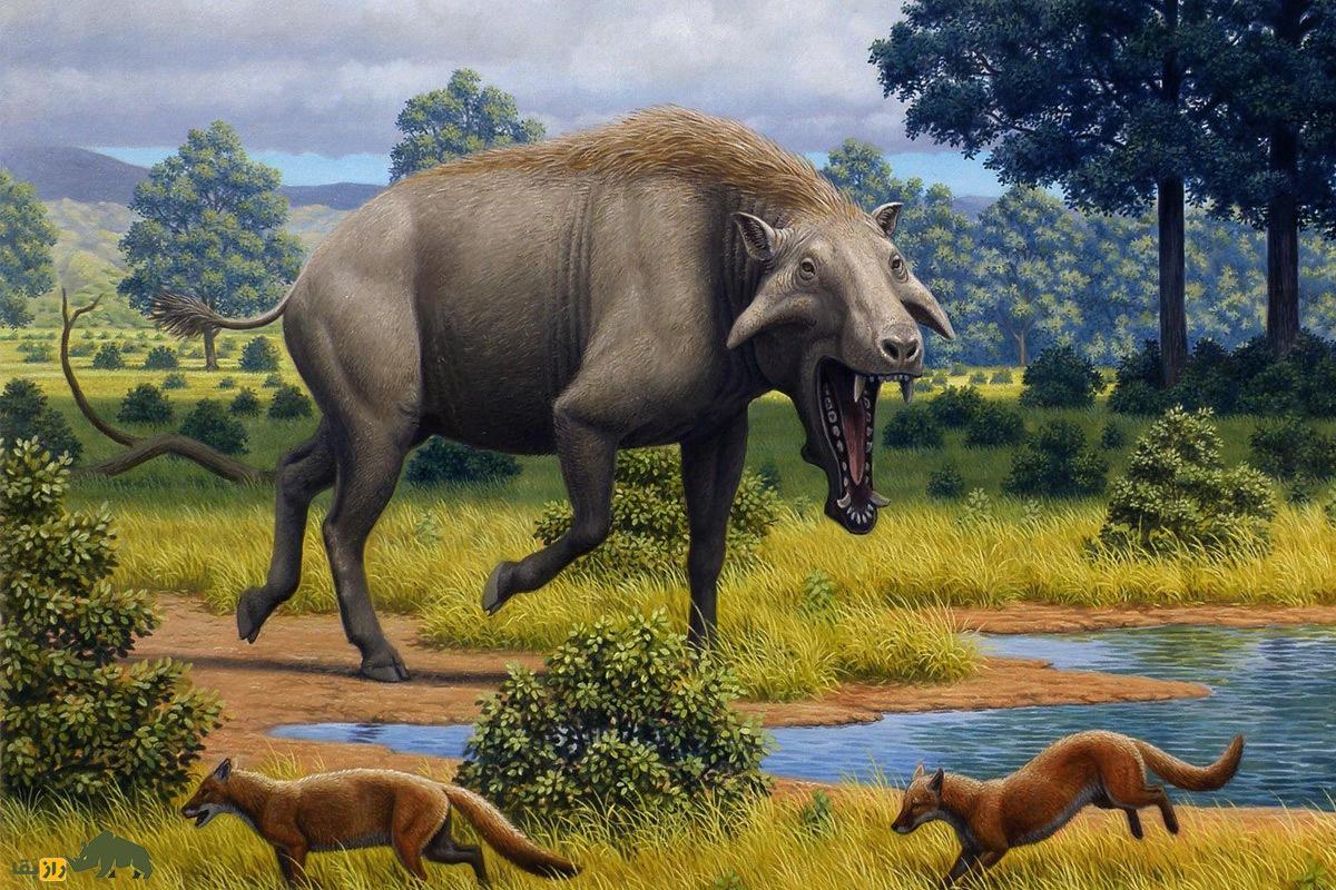Eoentelodon Yunanense