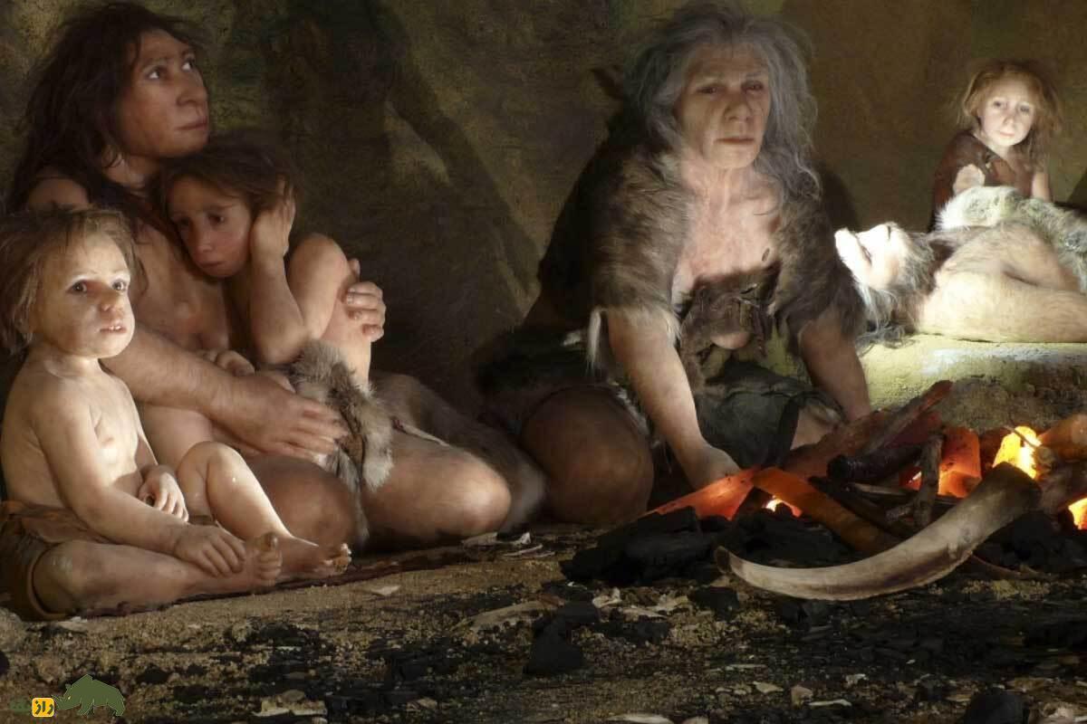 کشف جدید درباره زندگی نئاندرتالهای زن؛ از بلوغ در کودکی تا زایمان دردناک! زندگی نئاندرتالهای زن