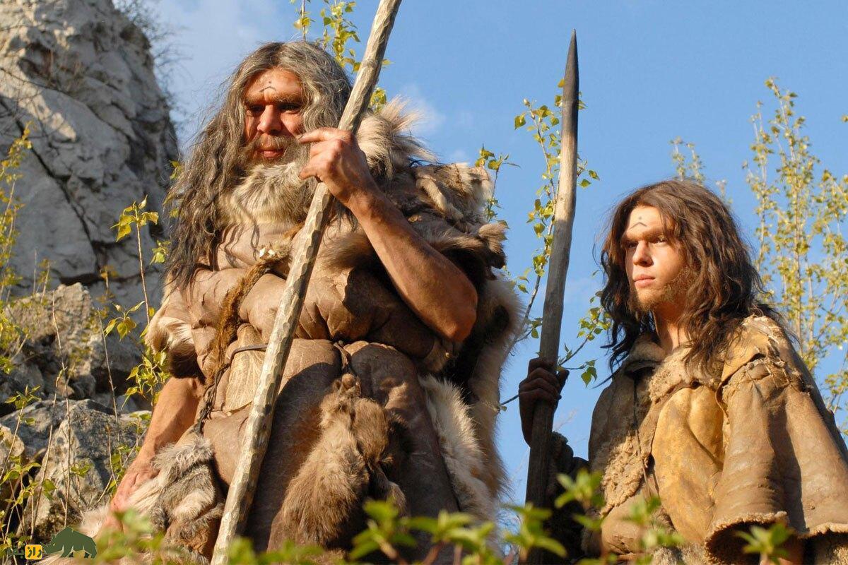 کشف جدید درباره زندگی نئاندرتالهای زن؛ از بلوغ در کودکی تا زایمان دردناک! نئاندرتالها