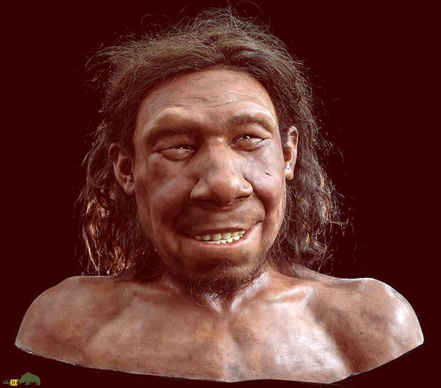 کشف جدید درباره زندگی نئاندرتالهای زن؛ از بلوغ در کودکی تا زایمان دردناک! چهره یک نئاندرتال