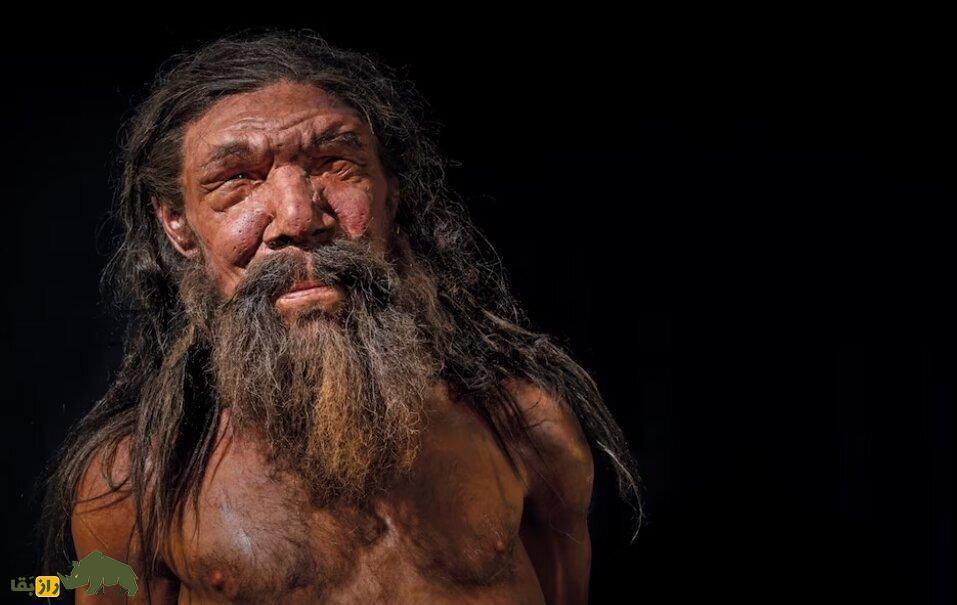 انگیزه عجیب انسان اولیه برای تجاوز به زنان؛ از قحطی زن تا آرزوی تجاوز! انسان اولیه