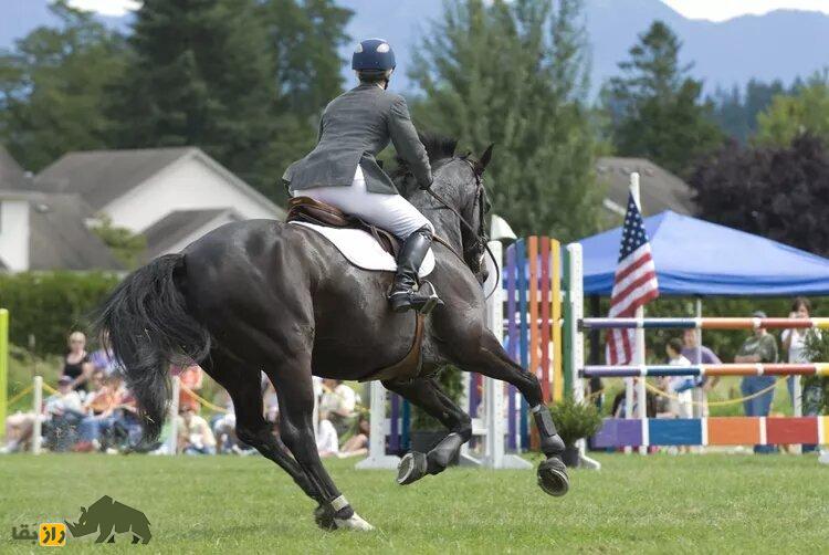 اسب سیاه مسابقه ای با سوارکار