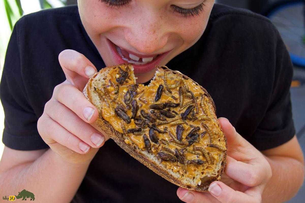 پروتئین آیندهِ انسان گوشت‌خوار، دیگر گوشت قرمز و مرغ و ماهی نیست! پس چه خواهیم خورد؟