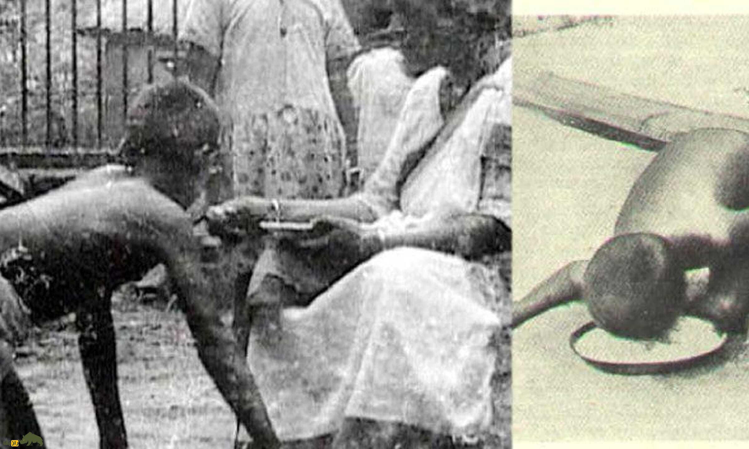 داستان شگفت‌انگیز 10 کودک که توسط حیوانات بزرگ شدند؛