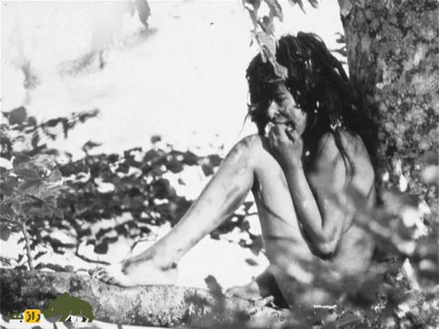 داستان شگفت‌انگیز 10 کودک که توسط حیوانات بزرگ شدند؛