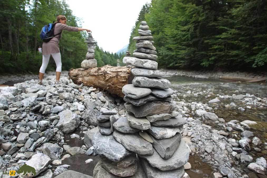 مشاهده یک رفتار آیینی عجیب از شامپانزه‌ها؛ آیا آن‌ها یک مکان مقدس دارند؟