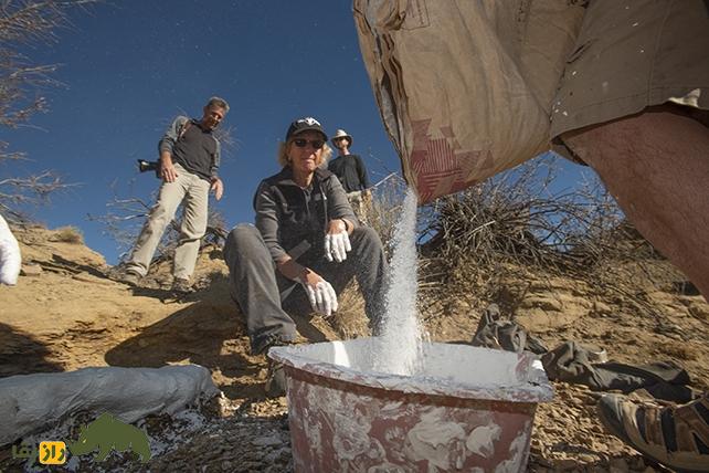 این «ونگل» باستانی کوچک احتمالا جد گمشده گاو، خوک و گوزن باشد! این «ونگل» باستانی کوچک احتمالا جد گمشده گاو، خوک و گوزن باشد!