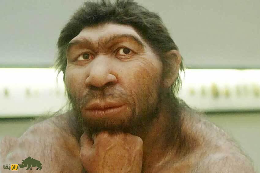 چه شد که مغز و هیکل انسان امروزی انقدر کوچک شد؟! چه شد که مغز و هیکل انسان امروزی انقدر کوچک شد؟!