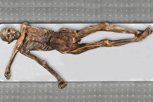 نگاهی جدید به DNA مرد یخی (Ötzi): دانشمندان باز هم شگفت‌زده شدند