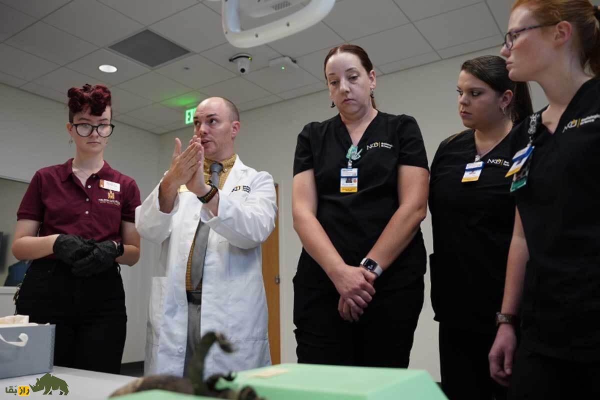 جنجال یک پریدریایی مومیاییشده در ژاپن جنجال یک پریدریایی مومیاییشده در ژاپن