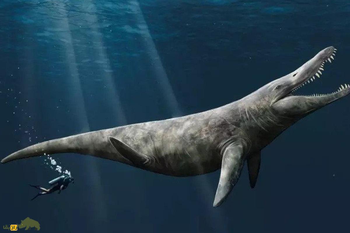کشف هیولای ۲۴ متری در ساحل بریتانیا؛ بزرگ‌ترین غول منقرض‌شده دنیا