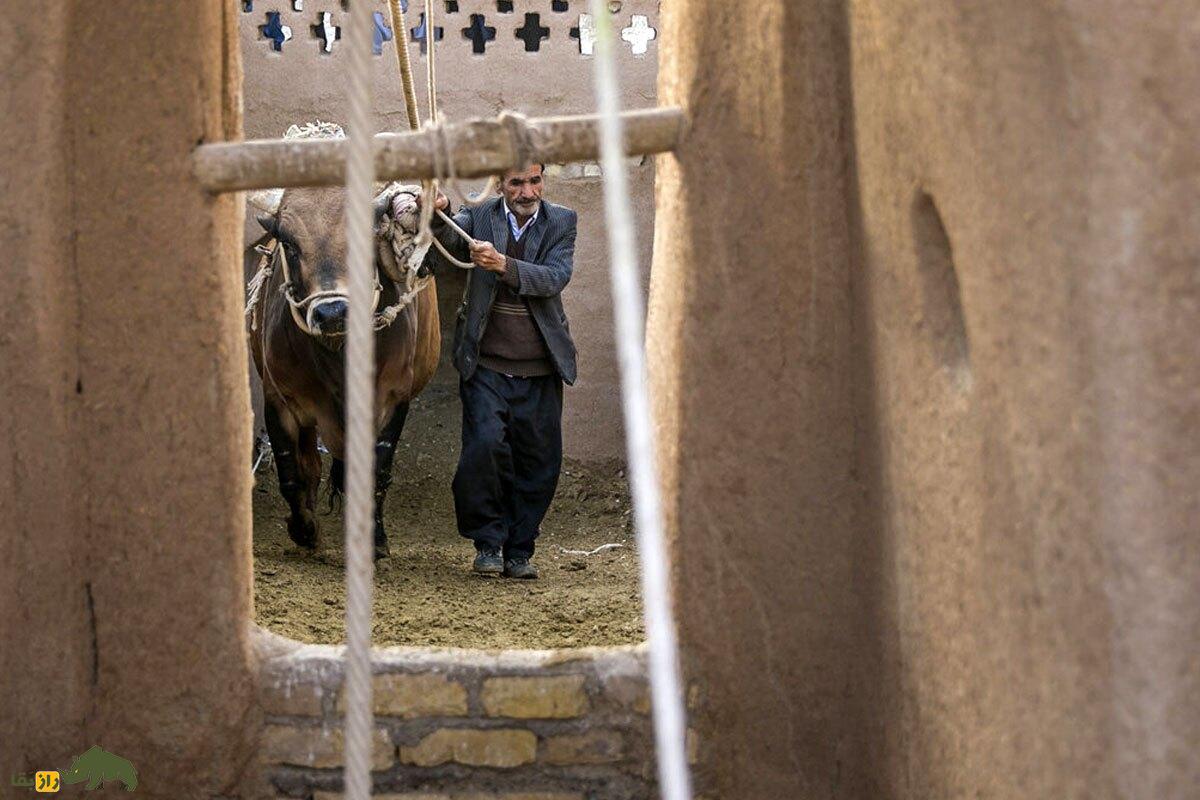 داستان عجیب حاج ابراهیم و گاو پاکستانیاش در وَرزنه اصفهان داستان عجیب حاج ابراهیم و گاو پاکستانیاش در وَرزنه اصفهان