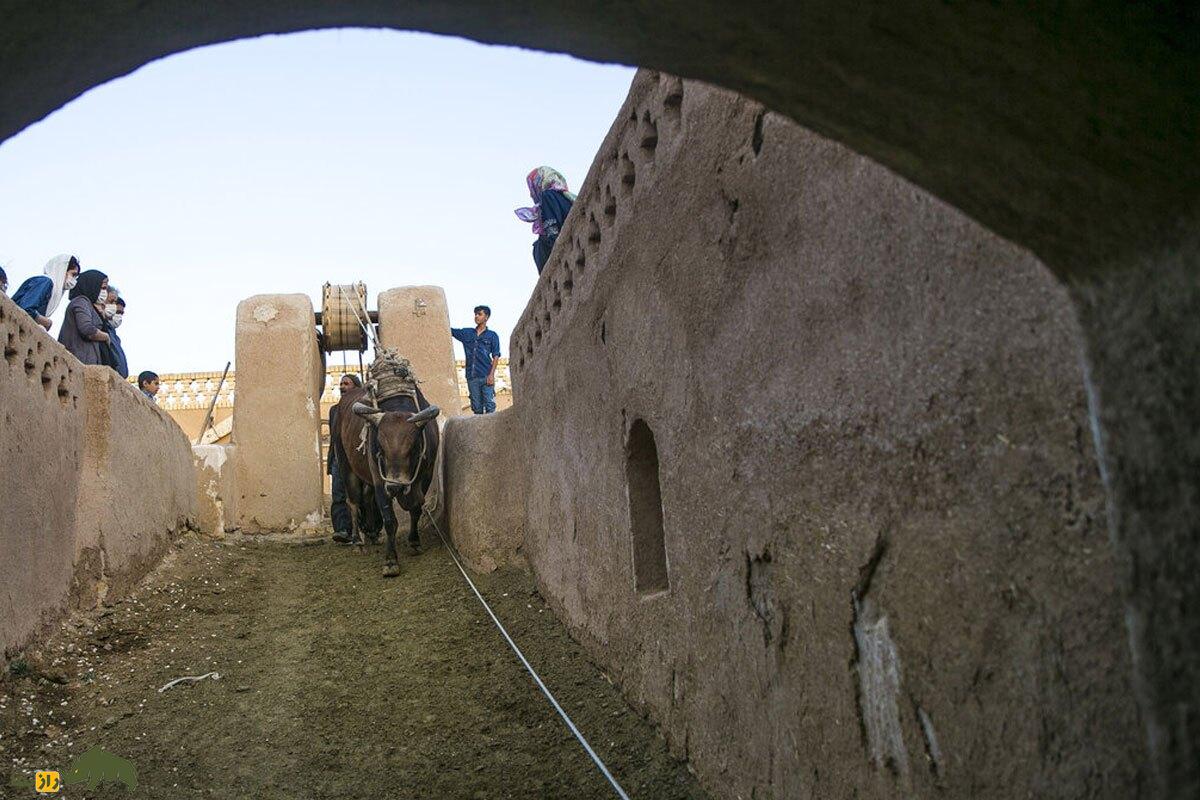 داستان عجیب حاج ابراهیم و گاو پاکستانیاش در وَرزنه اصفهان داستان عجیب حاج ابراهیم و گاو پاکستانیاش در وَرزنه اصفهان
