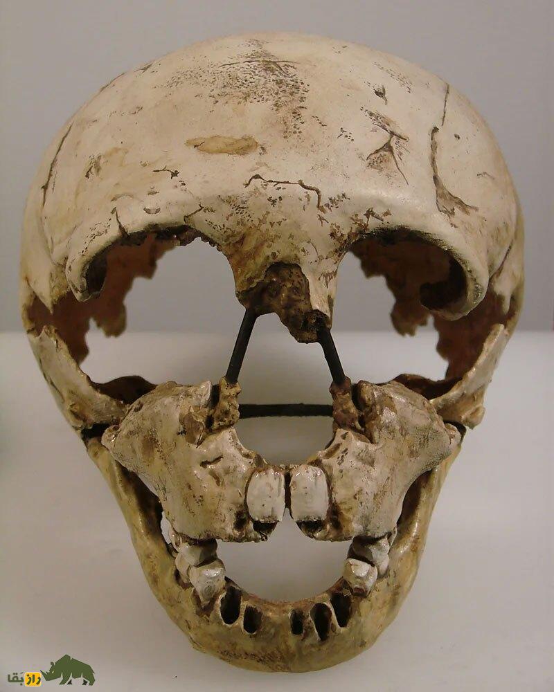 رازورمزهای زندگی کودکان نئاندرتال | آنها در دنیای وحشی آن زمان چه میکردند؟ رازورمزهای زندگی کودکان نئاندرتال | آنها در دنیای وحشی آن زمان چه میکردند؟