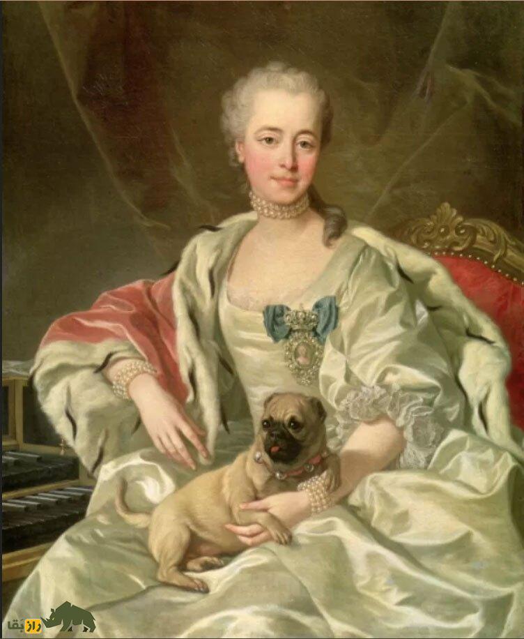 راز علاقه انسان به نگهداری از حیوانات خانگی کشف شد