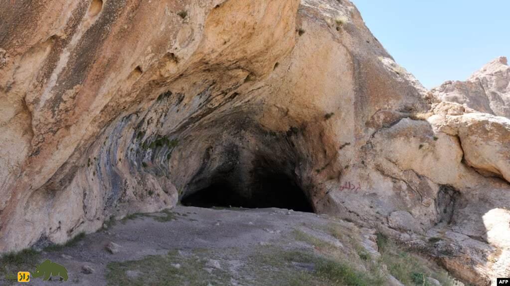 کشف یک دندان که تاریخ ایران را دگرگون کرد! کشف یک دندان که تاریخ ایران را دگرگون کرد!