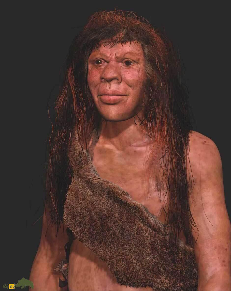 با «دَنی»، دختر مرموزی که نتیجه عشق یک نئاندرتال و انسان دنیسووان بود آشنا شوید با «دَنی»، دختر مرموزی که نتیجه عشق یک نئاندرتال و انسان دنیسووان بود آشنا شوید