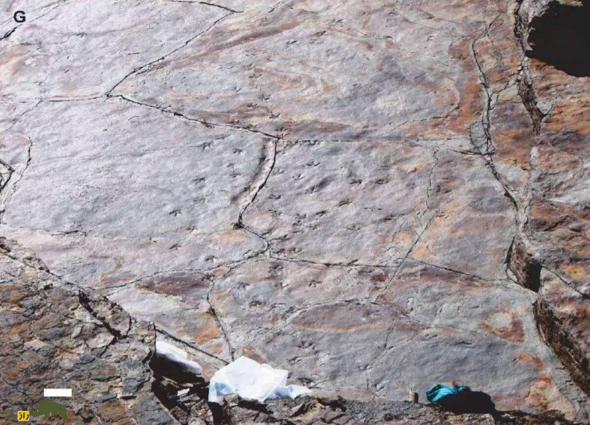 آیا در ایران هم دایناسورها زندگی می‌کردند، آنها در کجای ایران بودند؟