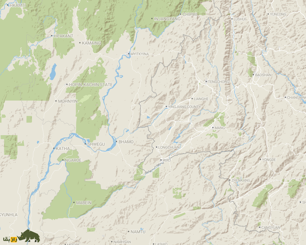 (عکس) مار فراری؛ کشف یک گونه افعی تکامل‌یافته در چین!