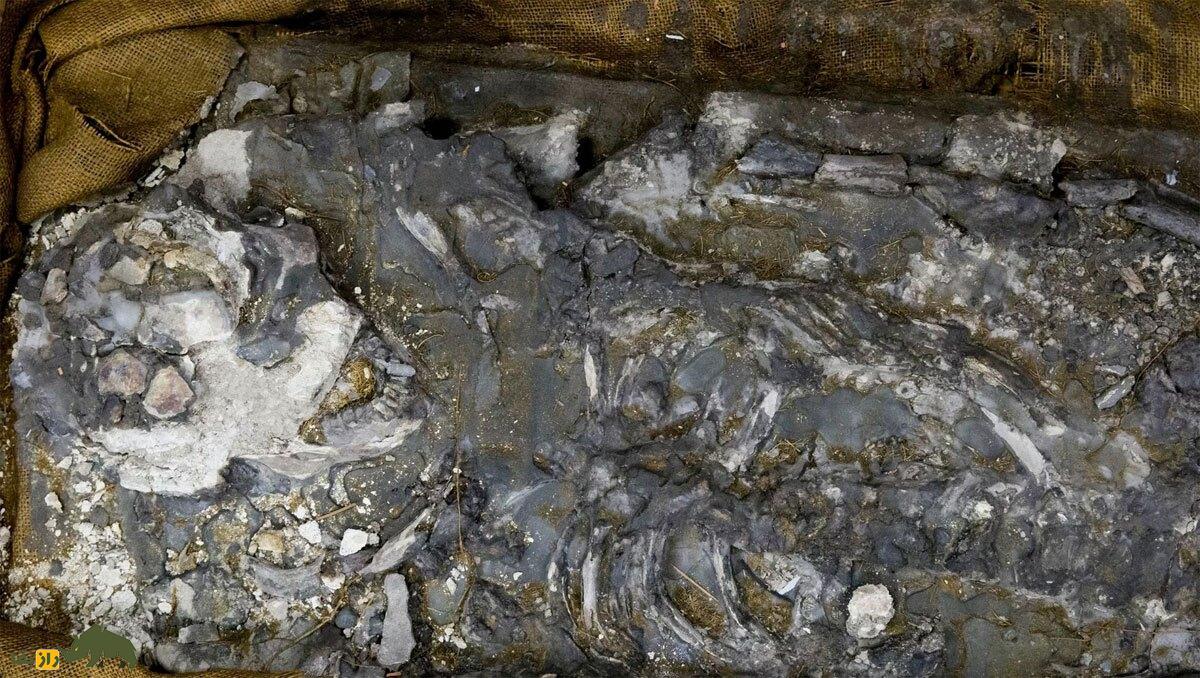 بسه؛ دختری 18 ساله که 7200 سال پیش زندگی می‌کرد و دنیا را تکان داد!