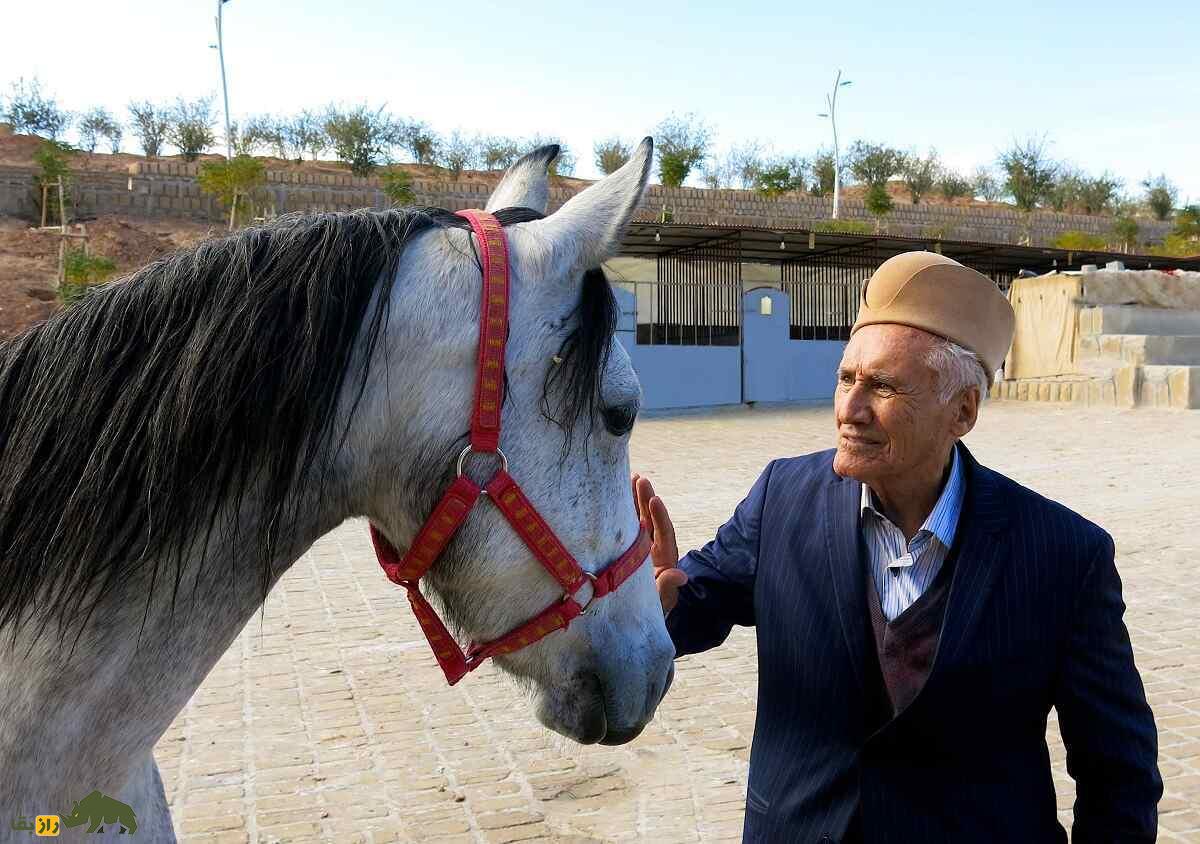 اسب «درهشوری»؛ اسب ایرانی معروف به «گردن شمشیری» که هرگز آسیب نمیدید اسب «درهشوری»؛ اسب ایرانی معروف به «گردن شمشیری» که هرگز آسیب نمیدید