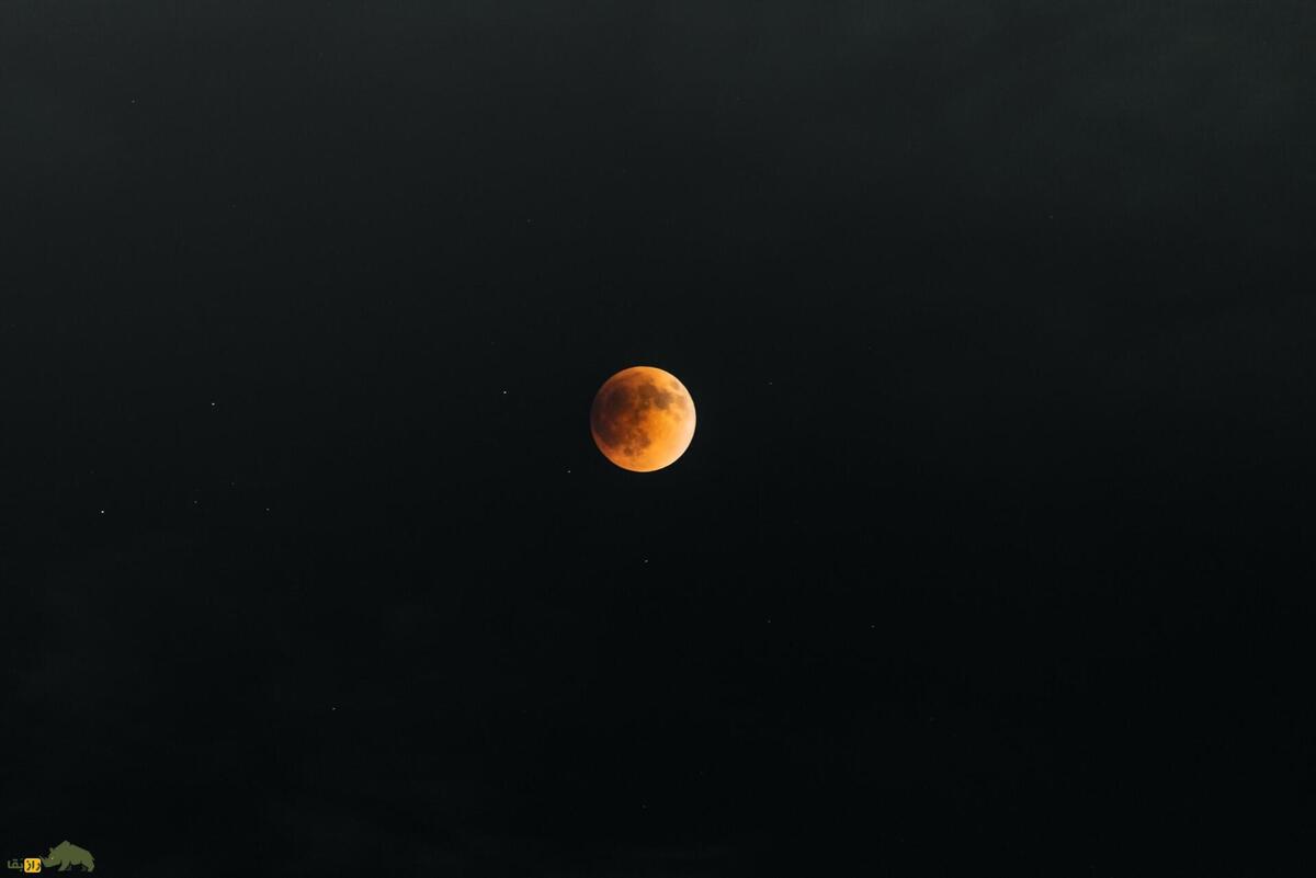 ماجرای جنون هنگام ماه کامل؛ آیا ارتباطی بین ماه کامل و خون‌آشام‌ها وجود دارد؟