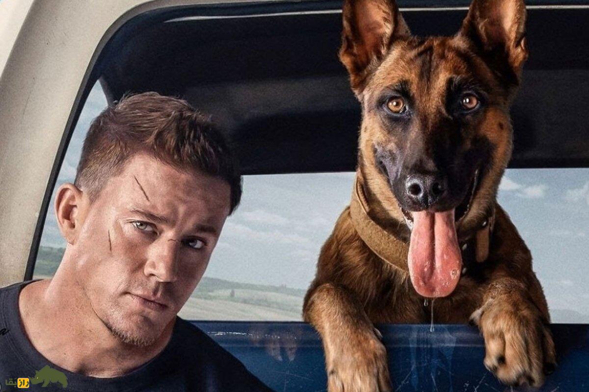 آیا سگها معنی کلمات را میفهمند؟ آیا سگها معنی کلمات را میفهمند؟