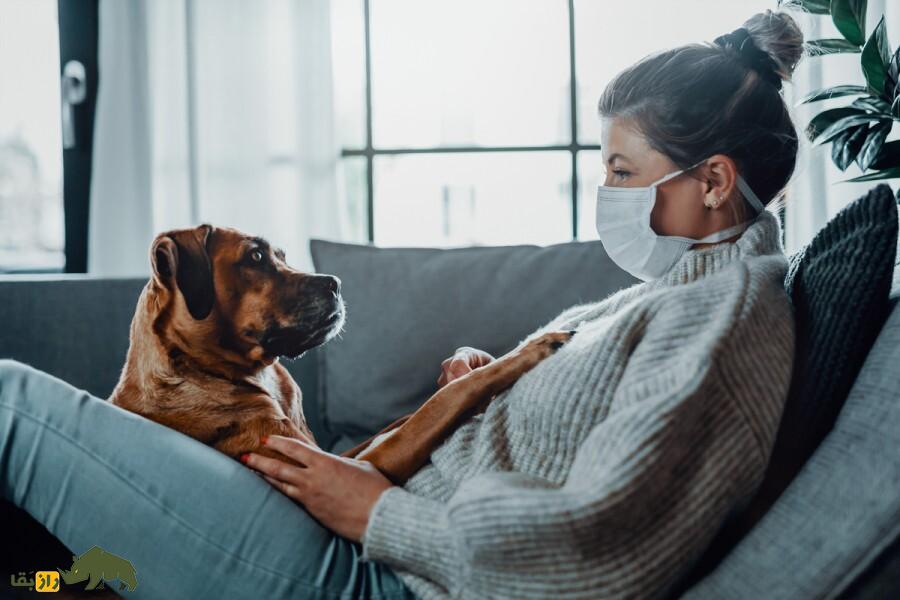 آیا سگها معنی کلمات را میفهمند؟ آیا سگها معنی کلمات را میفهمند؟