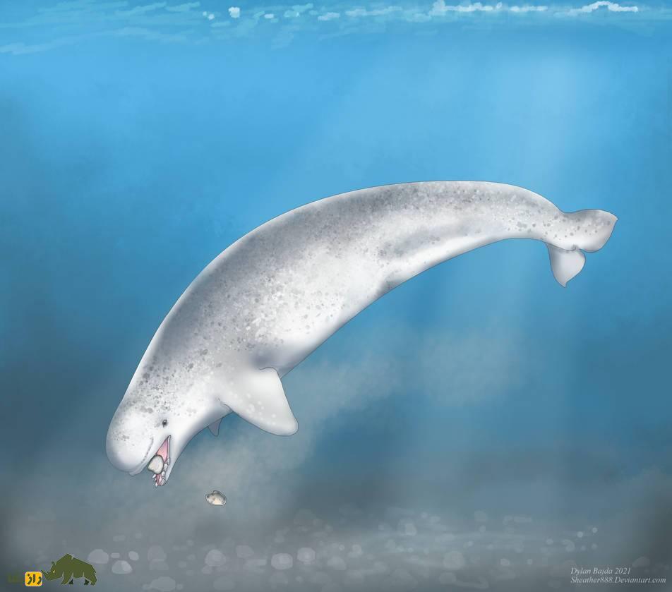 «نارلوگا»؛ حیوانی خارقالعاده که نتیجه جفتگیری عجیب دو موجود دریایی است! «نارلوگا»؛ حیوانی خارقالعاده که نتیجه جفتگیری عجیب دو موجود دریایی است!