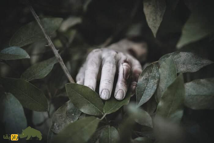 از لحظه مردن تا 100 پس از مرگ چه بلایی بر سر بدن انسان می‌آید؟