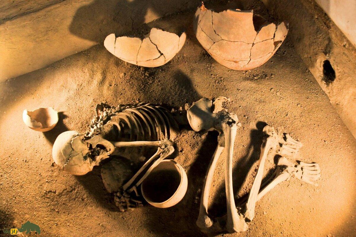 از لحظه مردن تا 100 پس از مرگ چه بلایی بر سر بدن انسان می‌آید؟