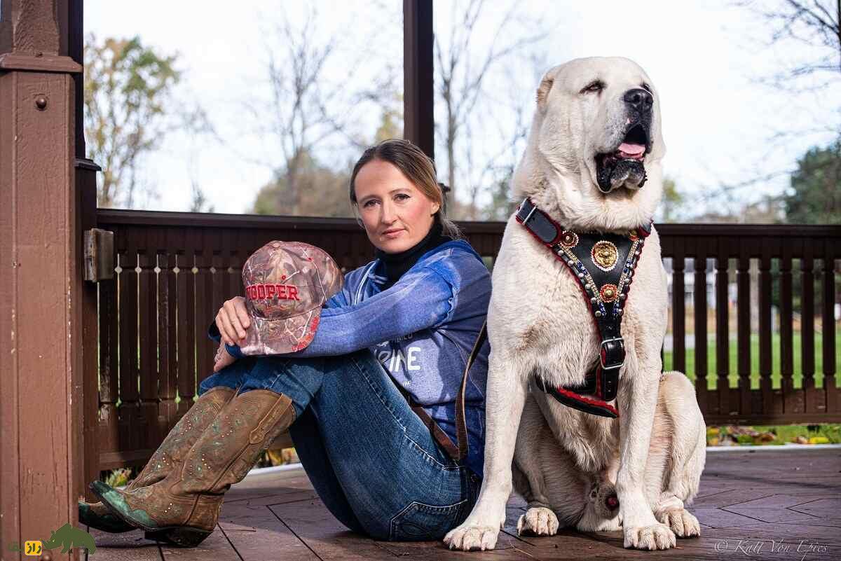 سگ آلابای؛ سگی که ولادیمیر پوتین عاشق آن است و نماد غرور ملی ترکمنستان است